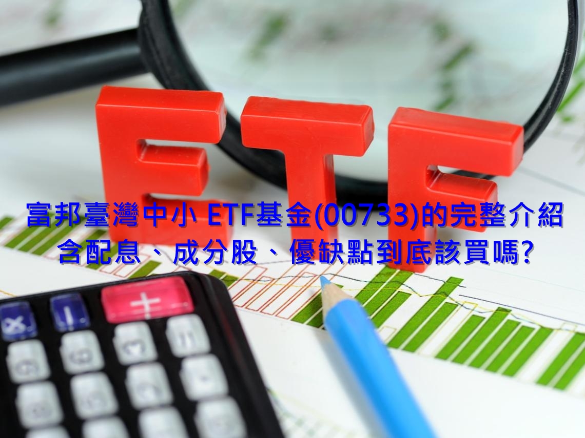 富邦臺灣中小 ETF基金(00733)的完整介紹